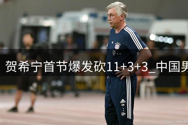 贺希宁首节爆发砍11+3+3 中国男篮大比分领先喀麦隆